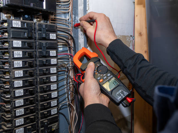 Best Ceiling Fan Installation Electrician  in Jamestown, ND